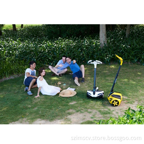 Self-Balancing Scooter